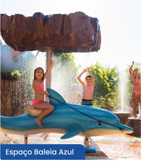 Group-2635.webp